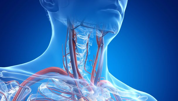 shutterstock_2116026737(1)